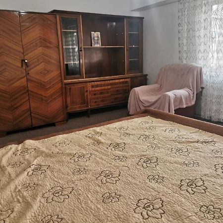 Garsoniera Apartment Craiova Ngoại thất bức ảnh